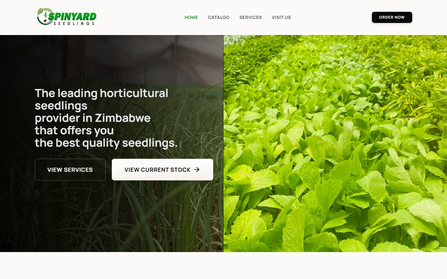 Spinyard Seedlings live site